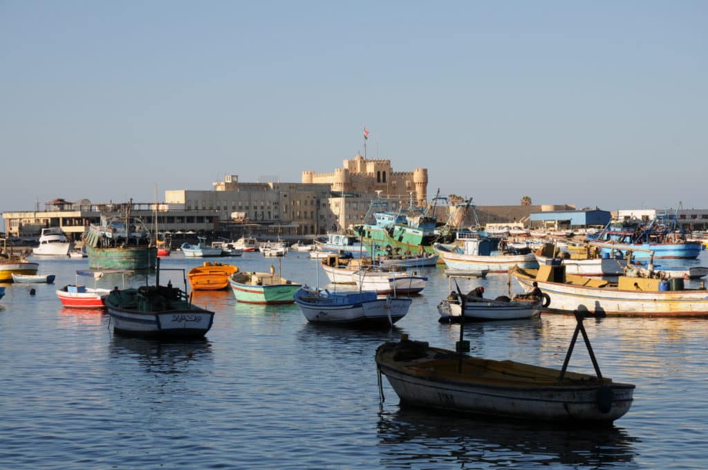 2- Excursions au Caire