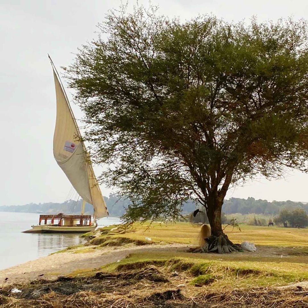 Croisière sur le Nil en felouque et le Caire